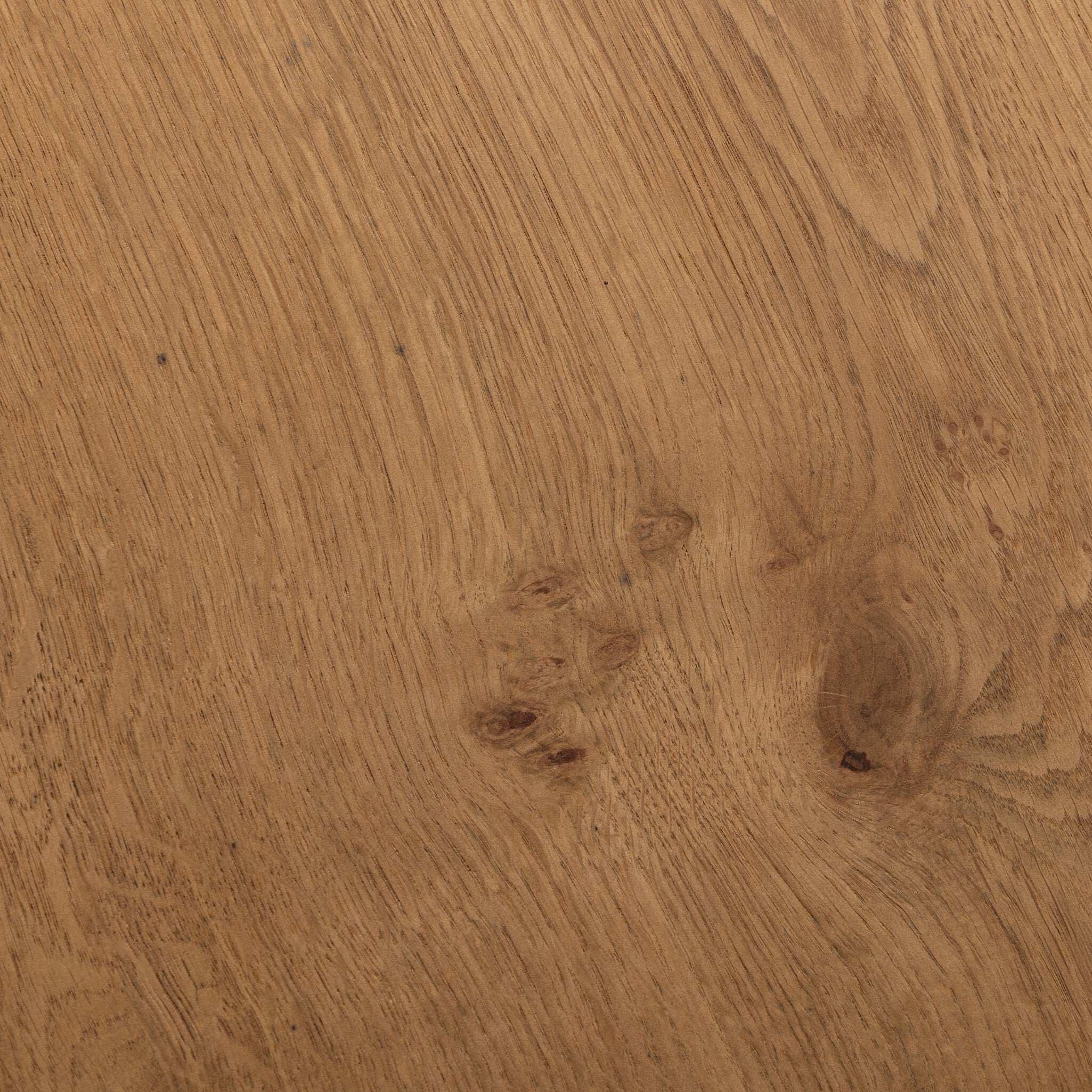 Four Hands Rue Coffee Table — Barley Medium Burl Oak-Barley Medium Burl Oak Solid