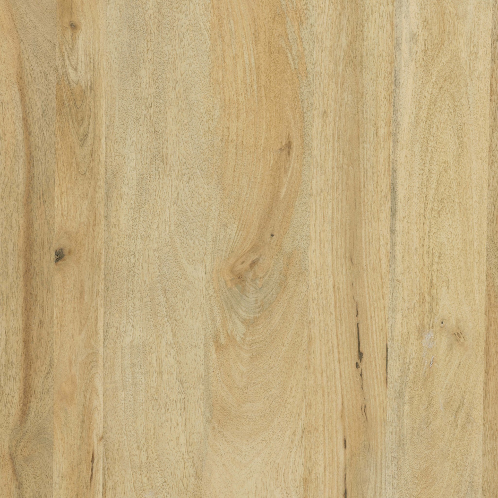 Four Hands Daley Coffee Table — Light Natural Mango