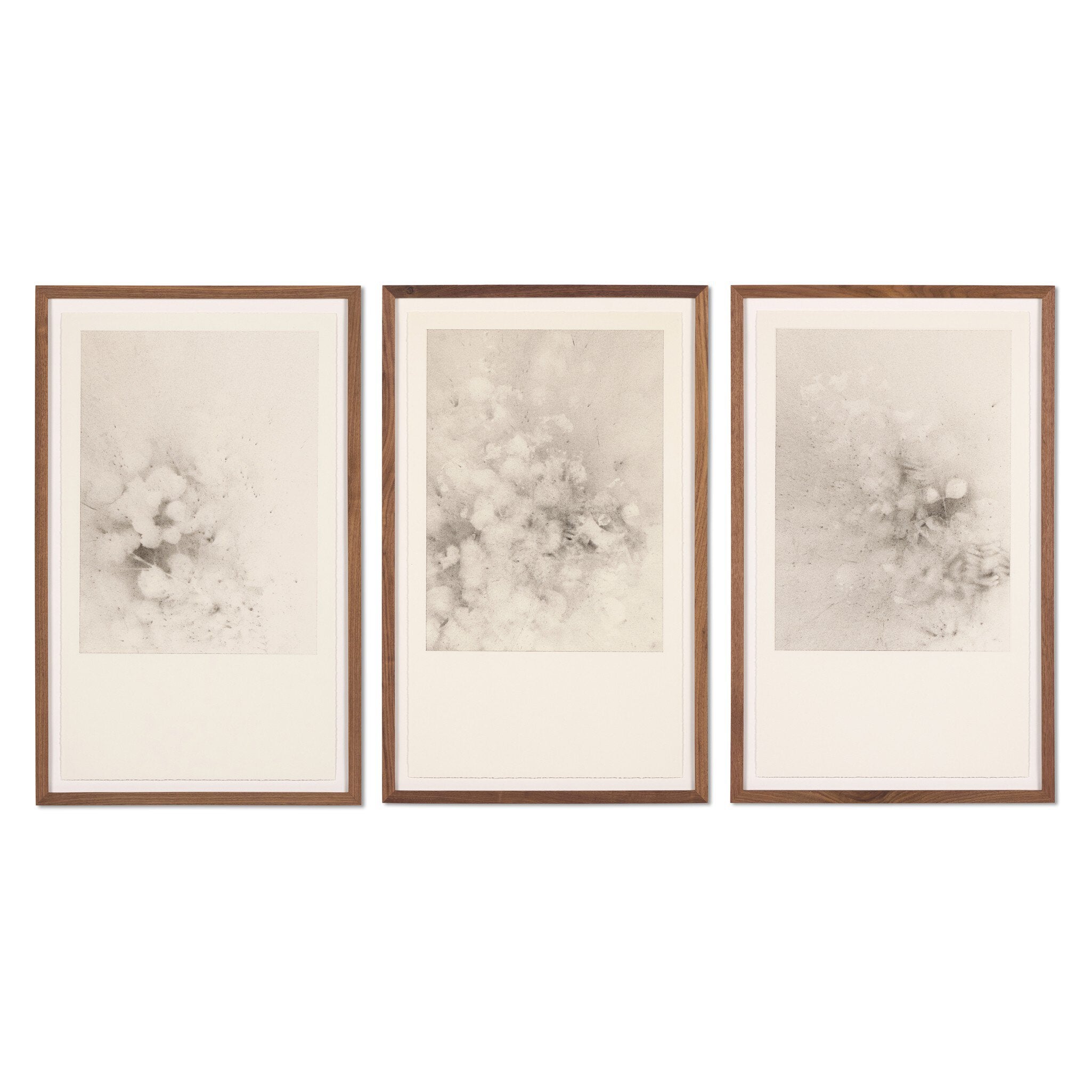 Four Hands Breath Drawing Triptych by Adrián White — 256085-003 - 60.0x32.0-Rustic 1.5 Walnut-Medium