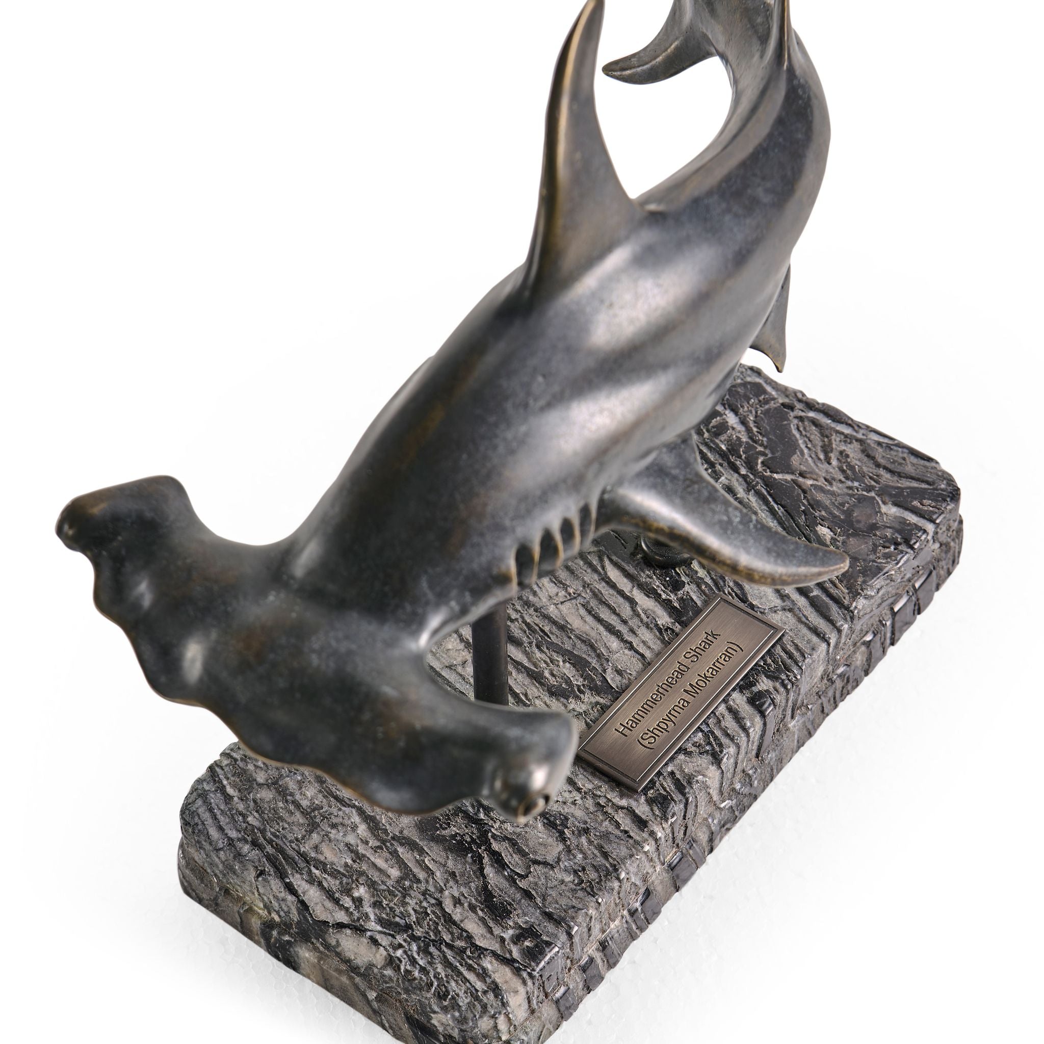 Jonathan Charles Hammerhead Shark C Shape Bronze Statue w