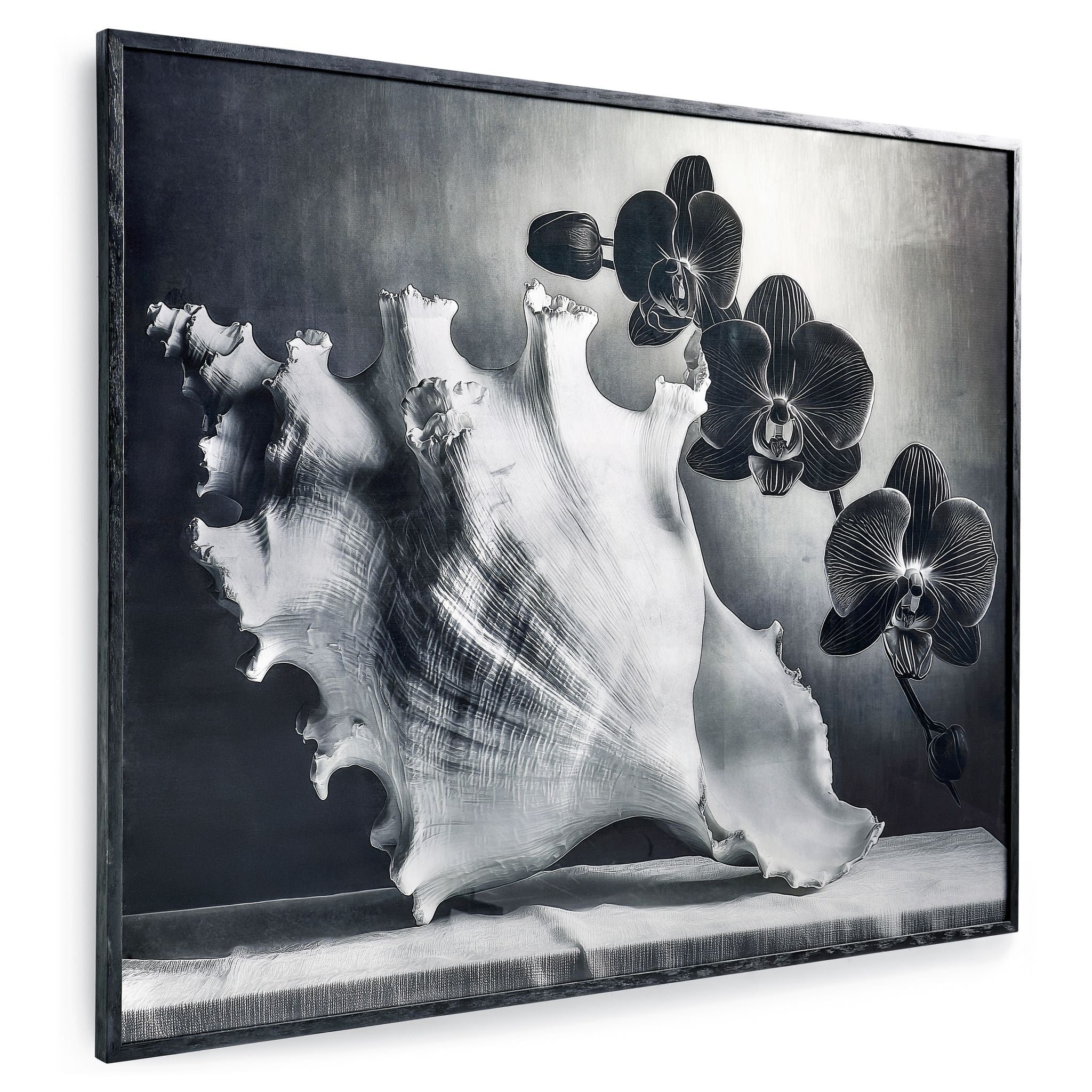 Jonathan Charles Silver Conch