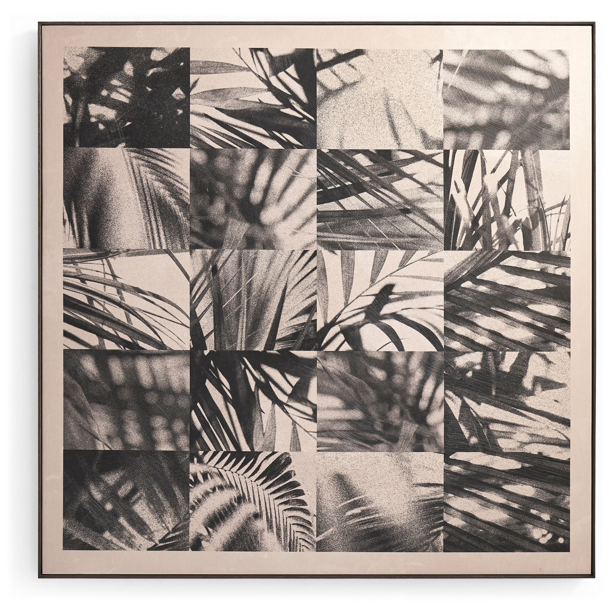 Jonathan Charles Palm Shadow