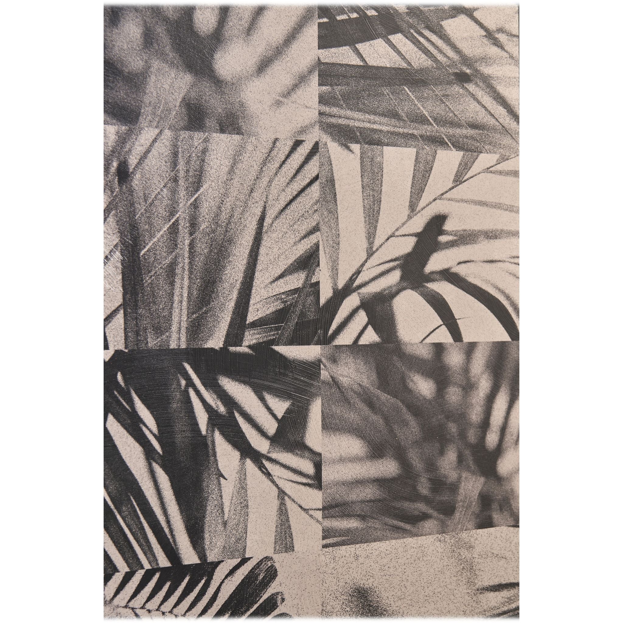 Jonathan Charles Palm Shadow