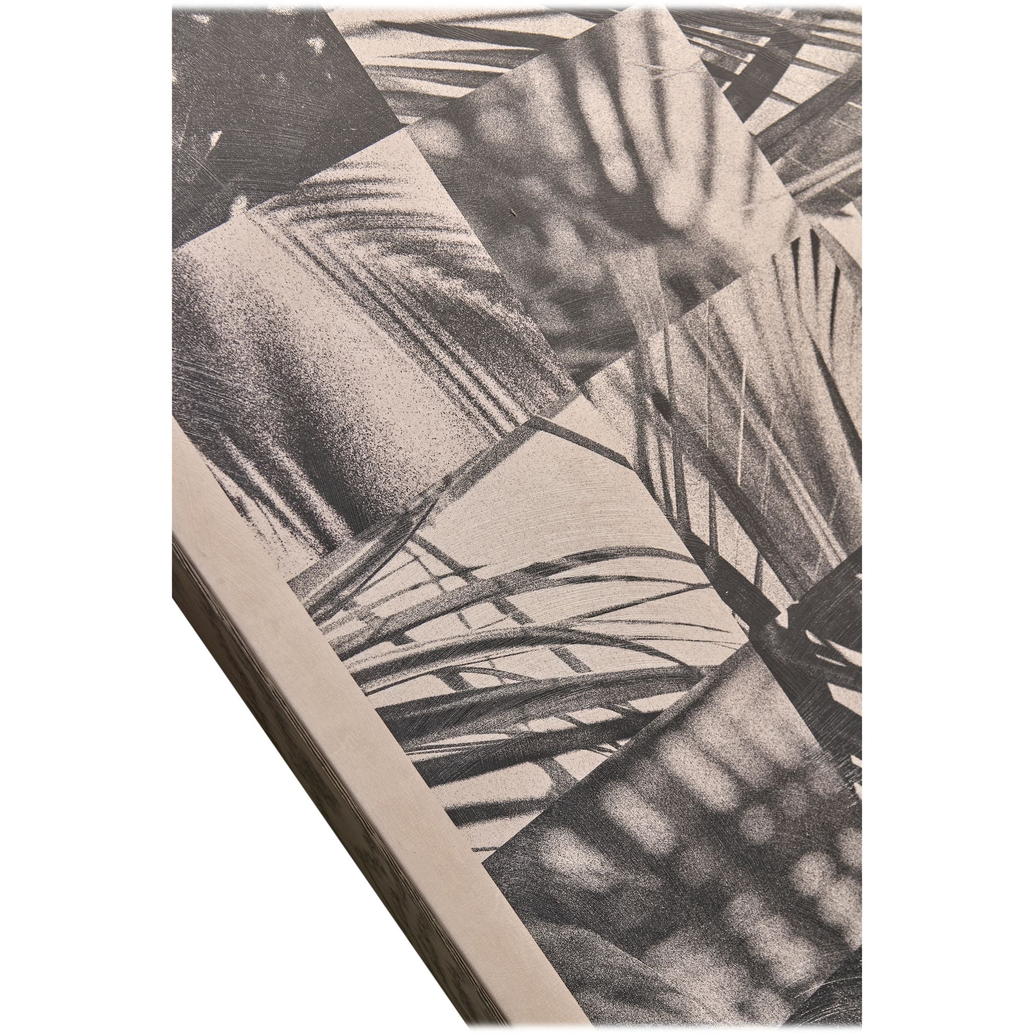 Jonathan Charles Palm Shadow