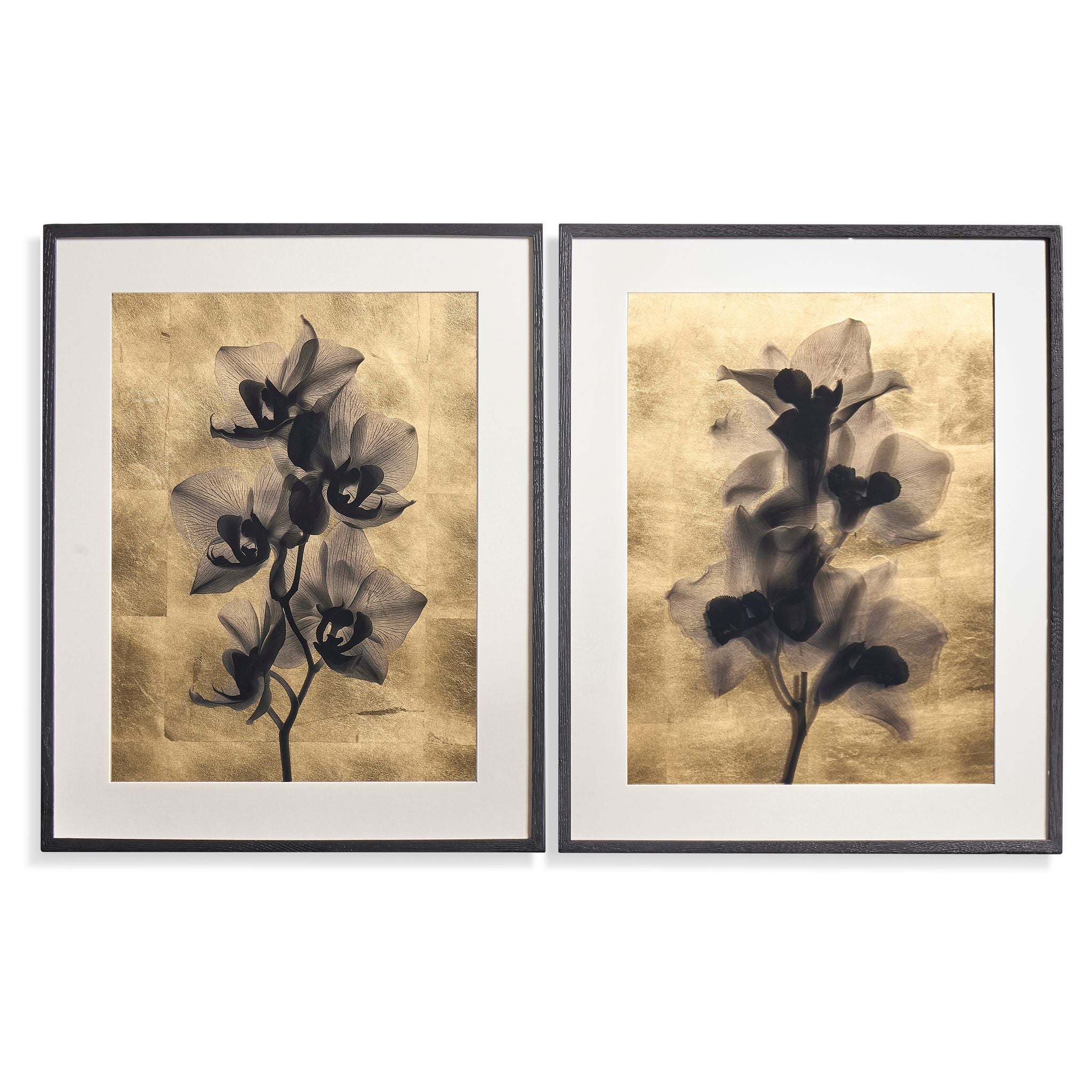 Jonathan Charles Black Orchids