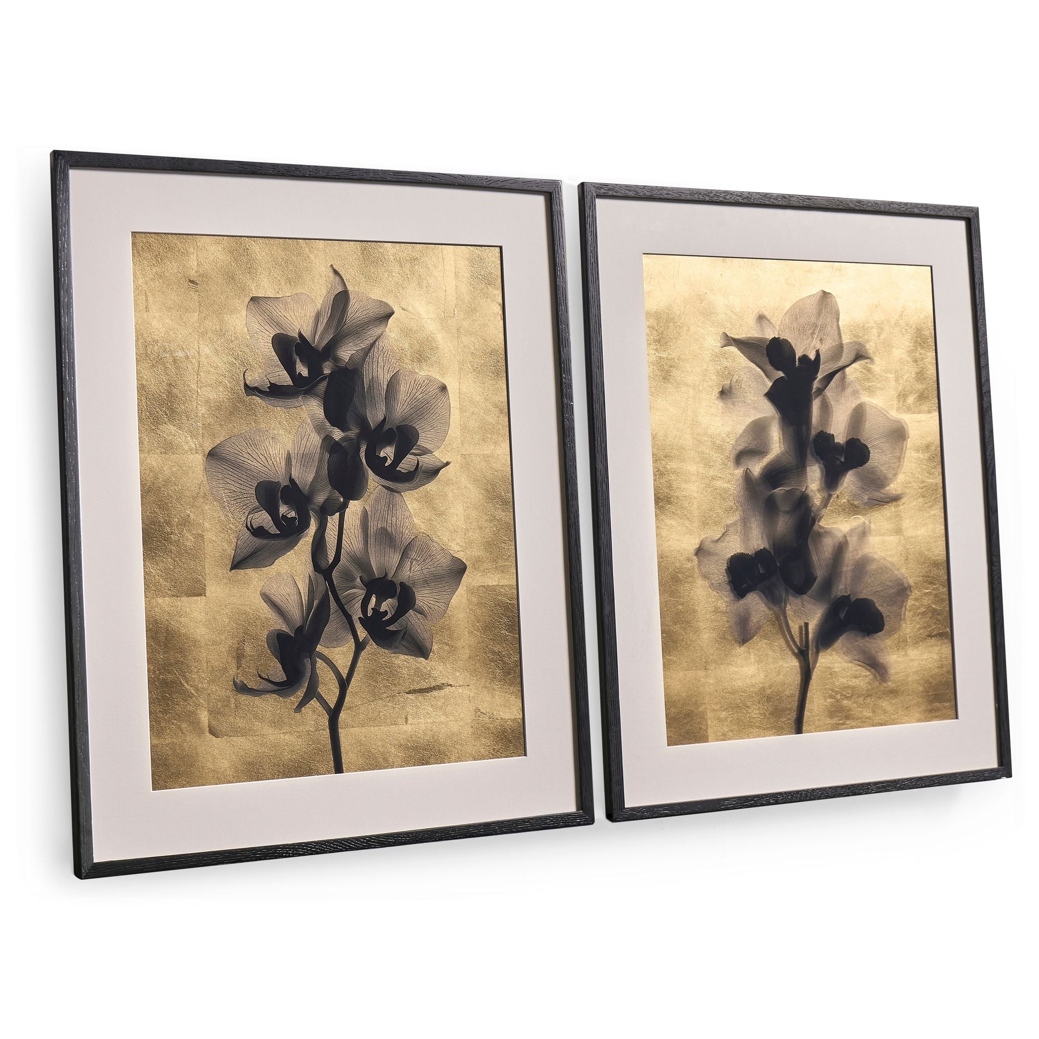 Jonathan Charles Black Orchids