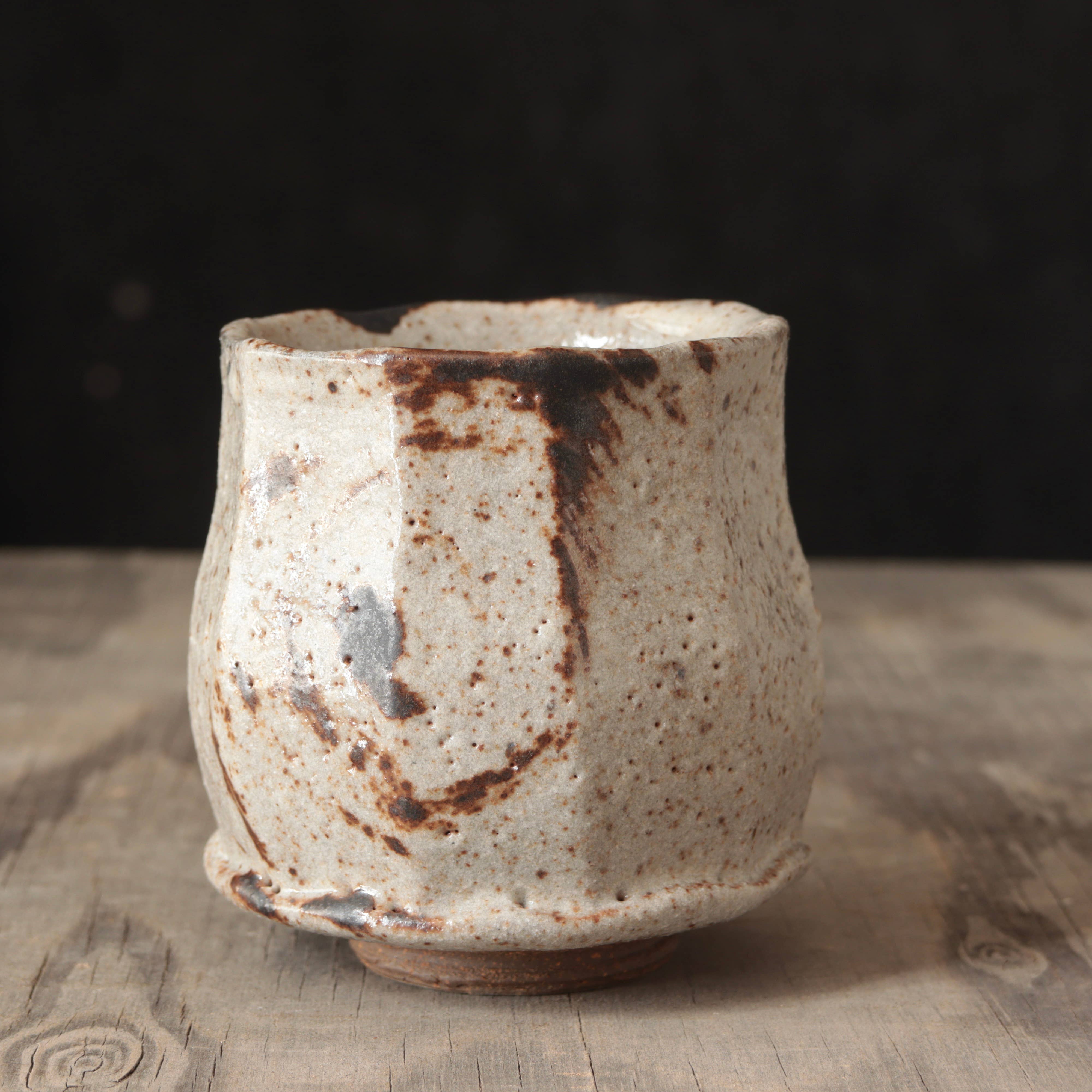 Matt Fishman Pottery Wild Clay and Glaze Teacup Granite Glaze