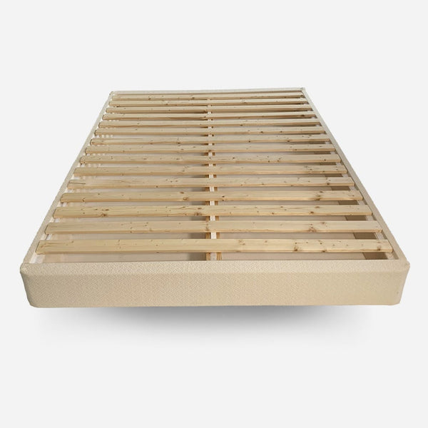 Foundations + Bases